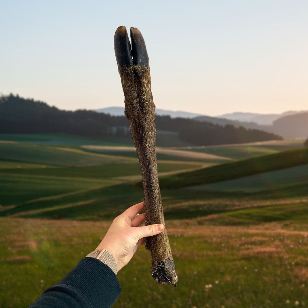 Venison Leg With Hair (Large)