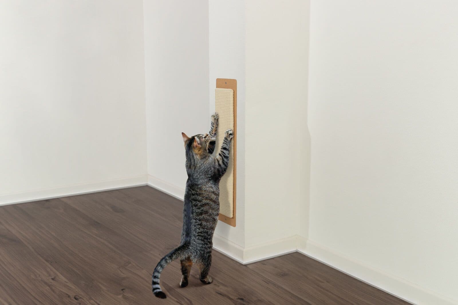 Trixie Batres Scratching Post (Beige)