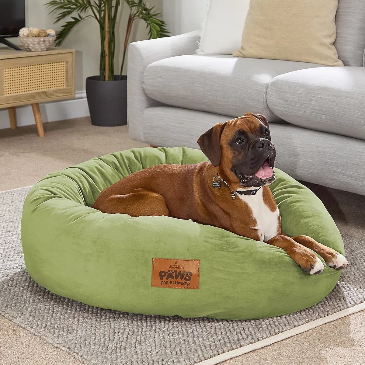 Donut Bed Large (Green)