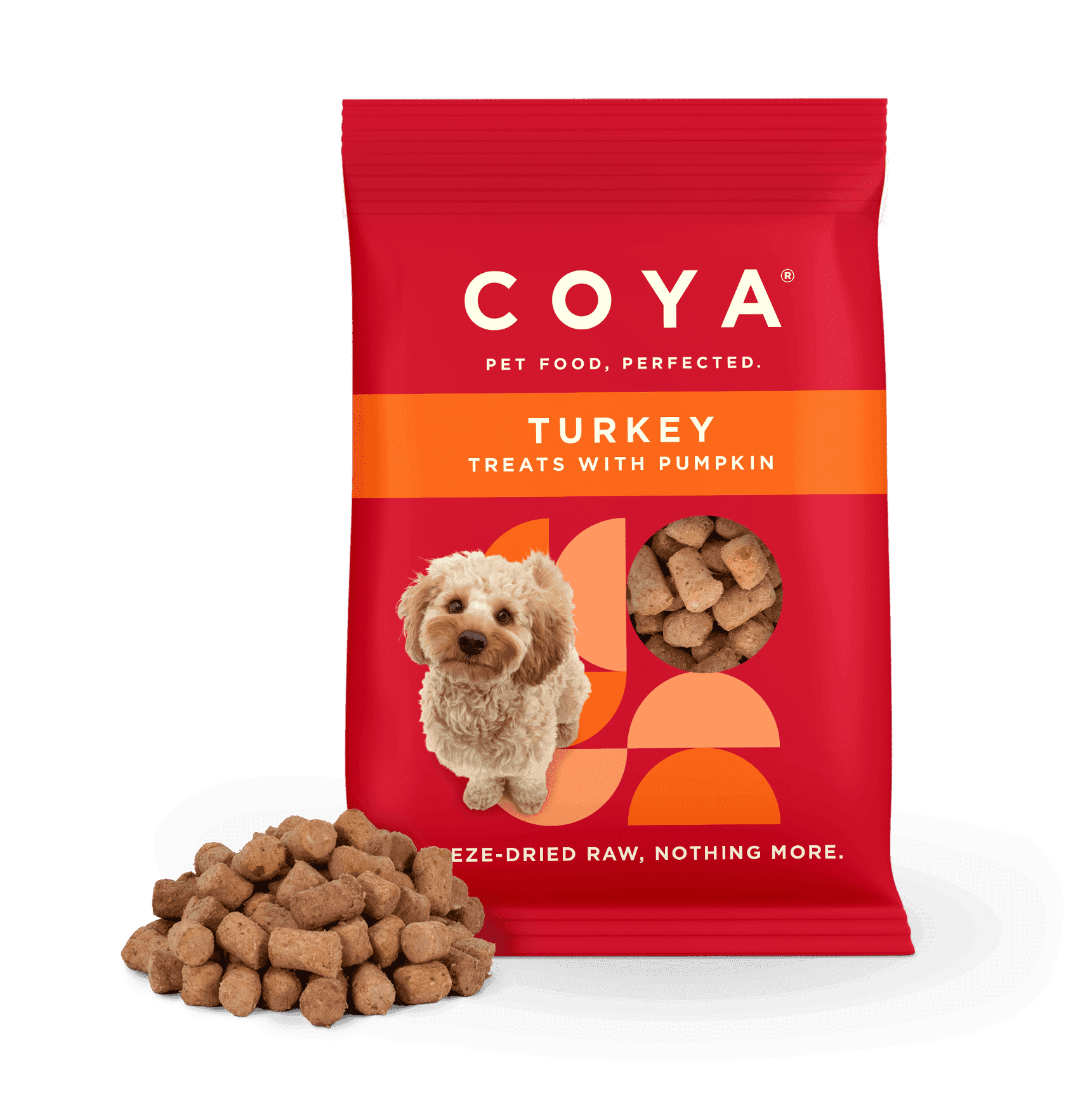 Coya Adult Dog Treats Turkey (40g)