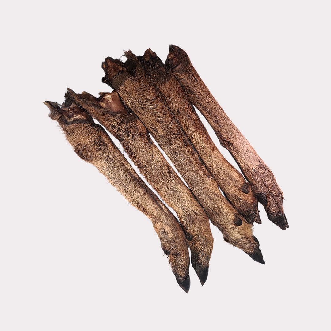 Venison Leg No Hair (Small)