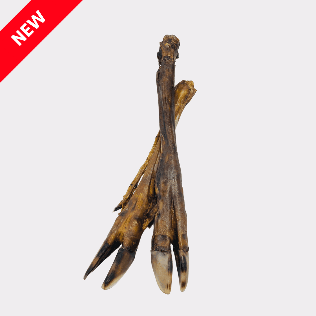 Venison Leg No Hair (Large)
