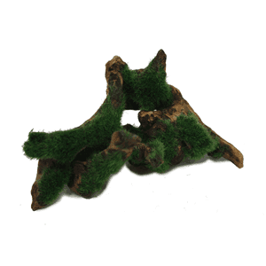 Hugo Aquascape Greenery (10-19cm)