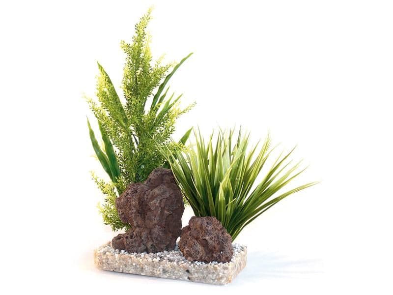 Sydeco Aloe Vera (Giant)