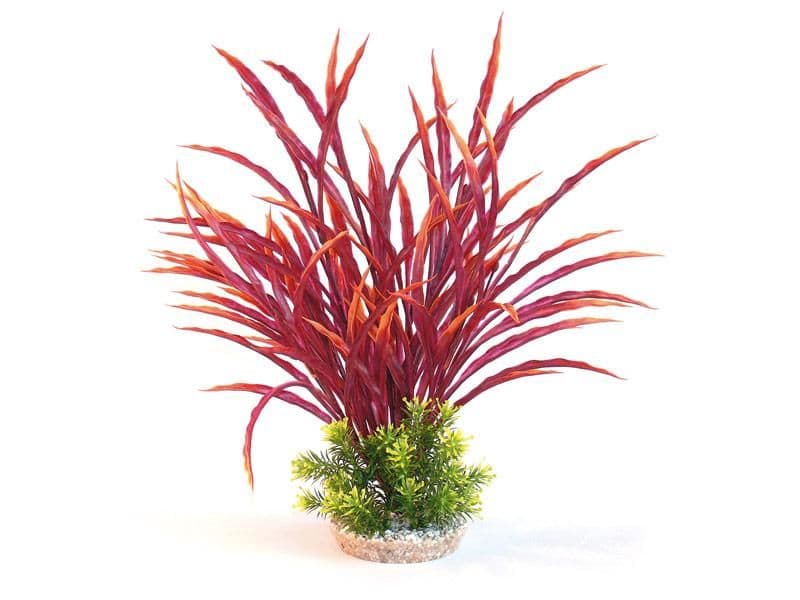 Sydeco Atoll Maxi