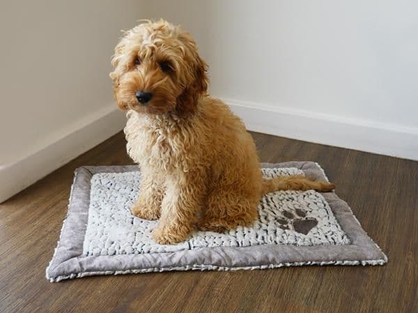 Rosewood Grey Luxury Plush Blanket (Medium / 110cm x 75cm)