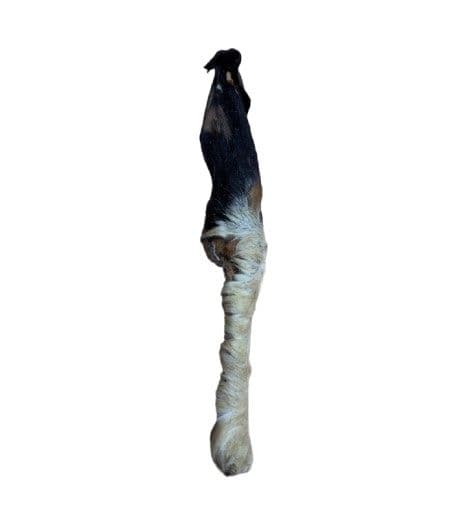 Anco Naturals Hairy Lamb Ear Stick