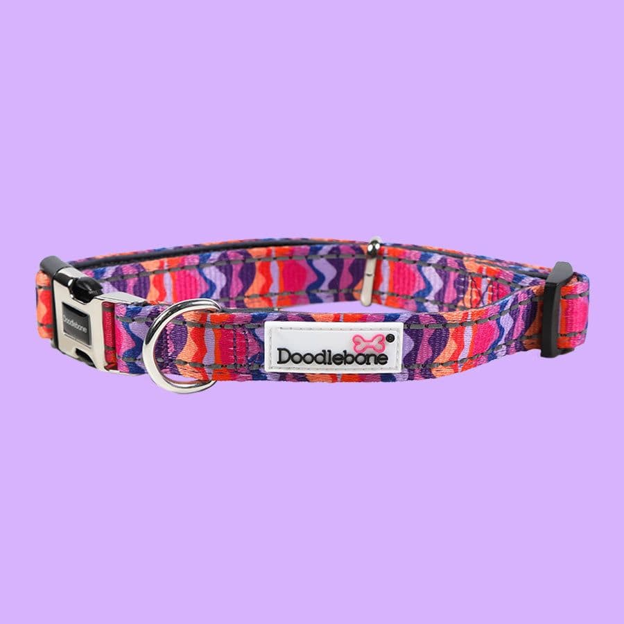 Doodlebone Padded Collar, Dunes, 1-2