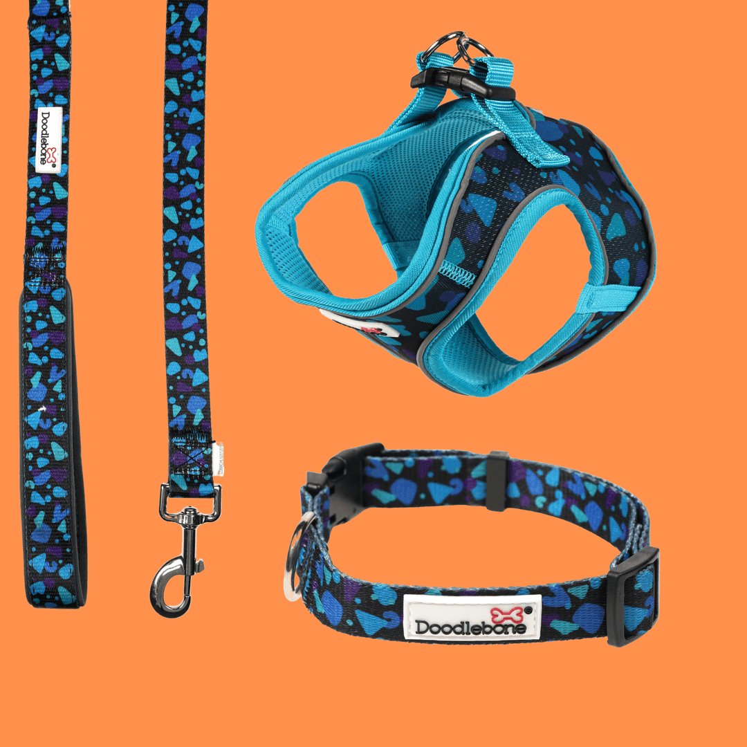 Doodlebone Collar, Electric Party, 1-2
