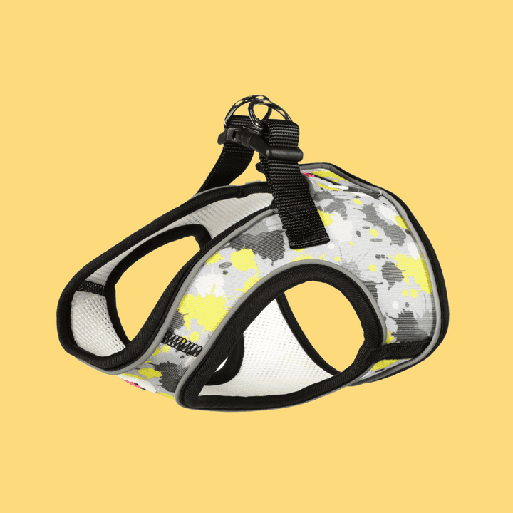Doodlebone Collar, Neon Paint Splat, 6-11
