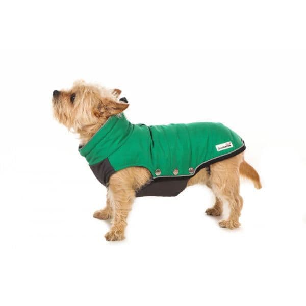 Doodlebone Puffer Jacket, Forest, 5-7