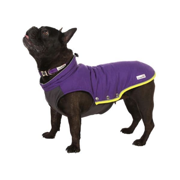 Doodlebone Puffer Jacket, Violet, 2-3