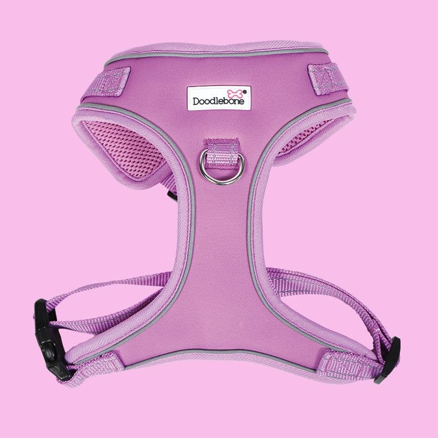 Doodlebone Adjustable Airmesh Harness, Dunes, 4-7