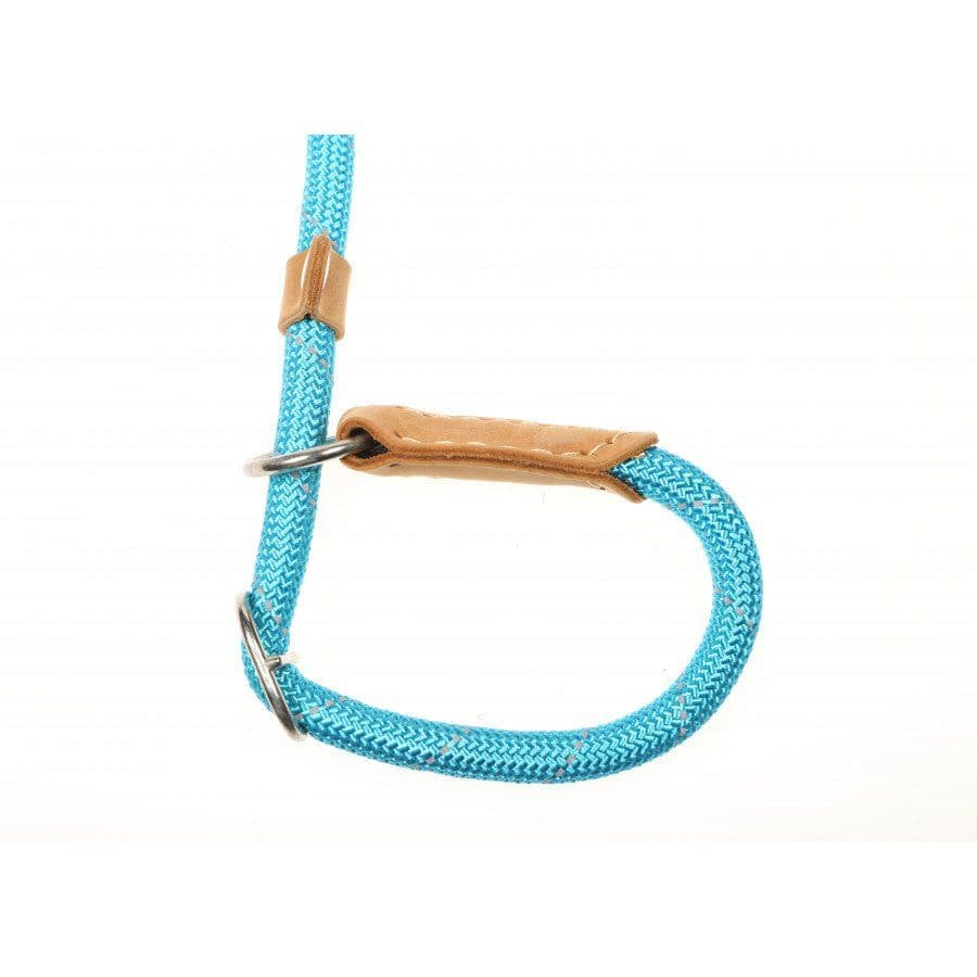 Doodlebone Slip Lead, Aqua, 12mm