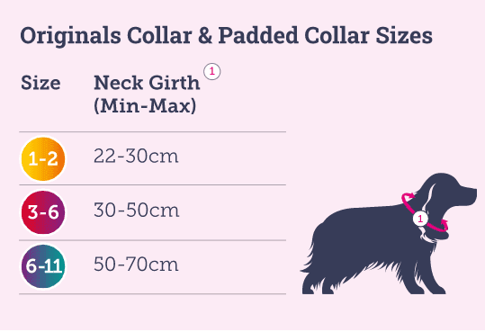 Doodlebone Padded Collar, Abstract, 3-6