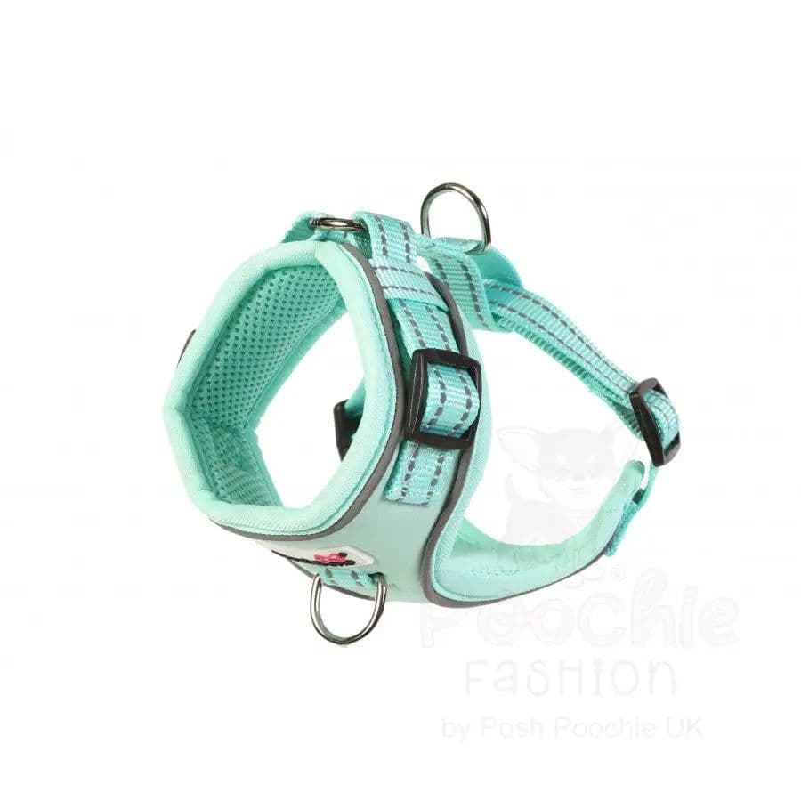 Doodlebone Adjustable Airmesh Harness, Mint, 3-5