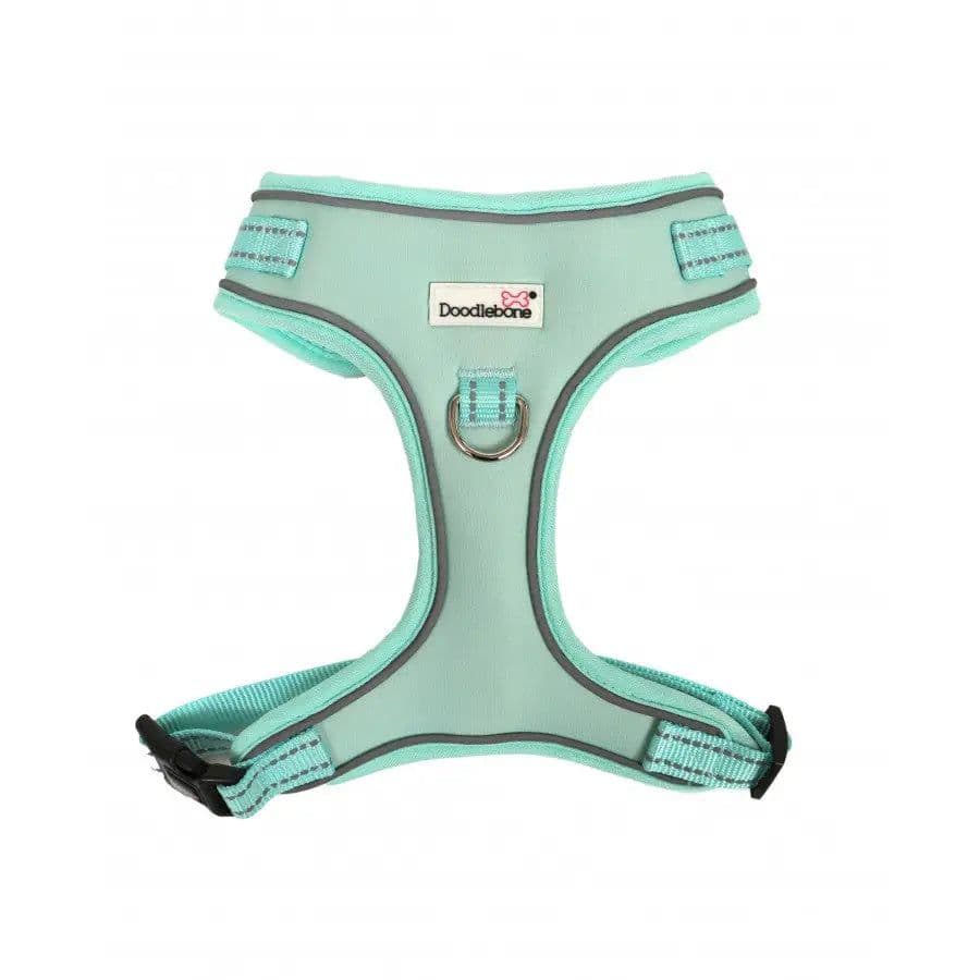 Doodlebone Adjustable Airmesh Harness, Mint, 4-7