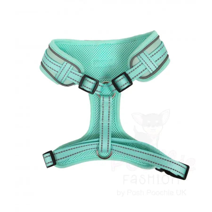 Doodlebone Adjustable Airmesh Harness, Mint, 6-9