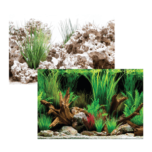 Cloud Stone/Wonderscape Background (45cm)(Metre)