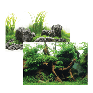 Greenspike/Amazonia Background (45cm)(Metre)