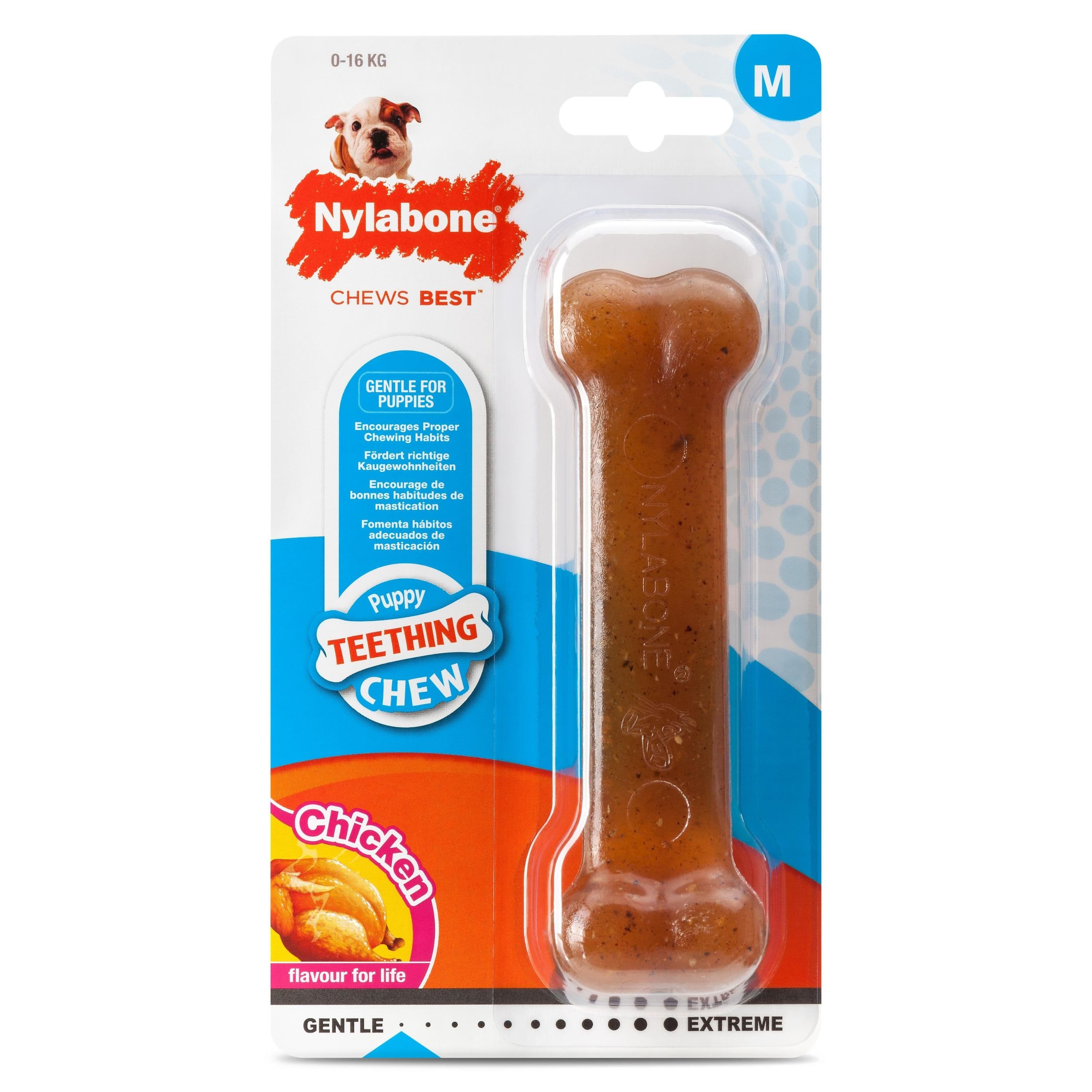 Nylabone Puppy Bone Chicken (Medium)
