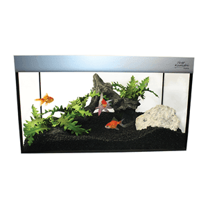 Hugo Simplicity Aquarium (18x15x12”)