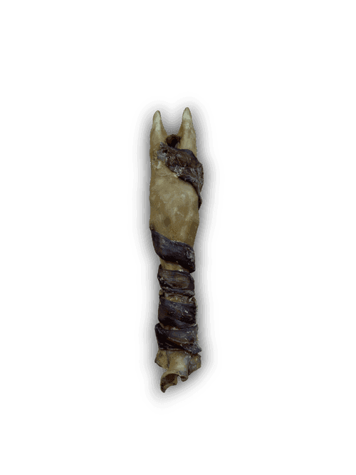 Lamb Trotter with Biltong