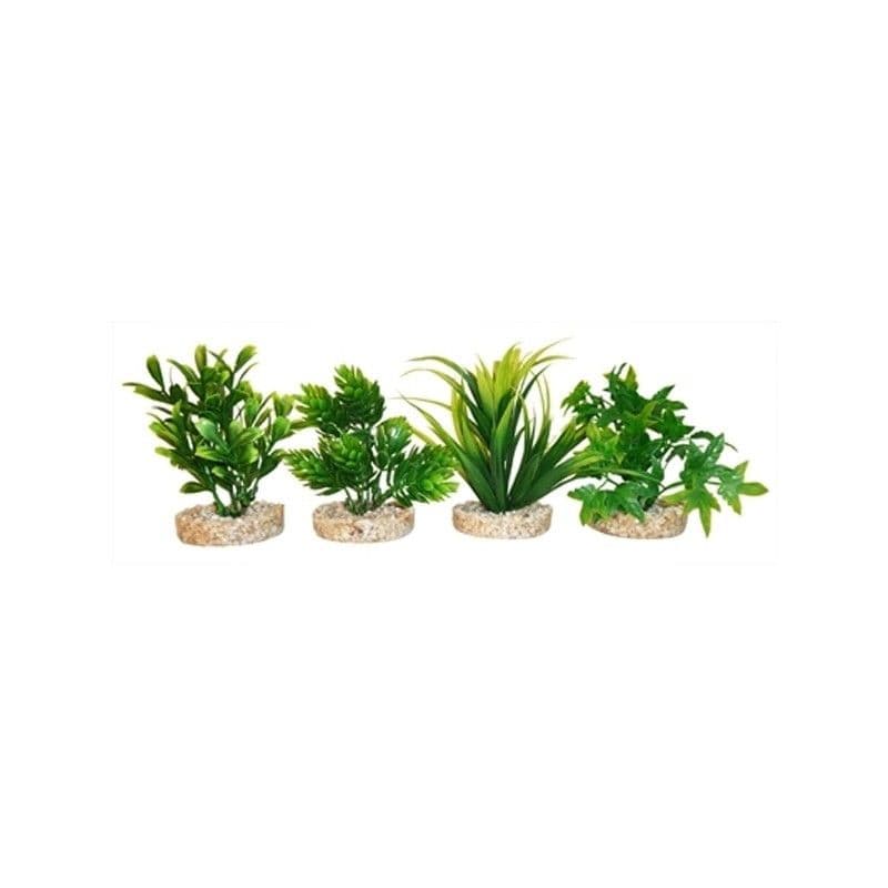 Sydeco Magic Aqua Natural Plant