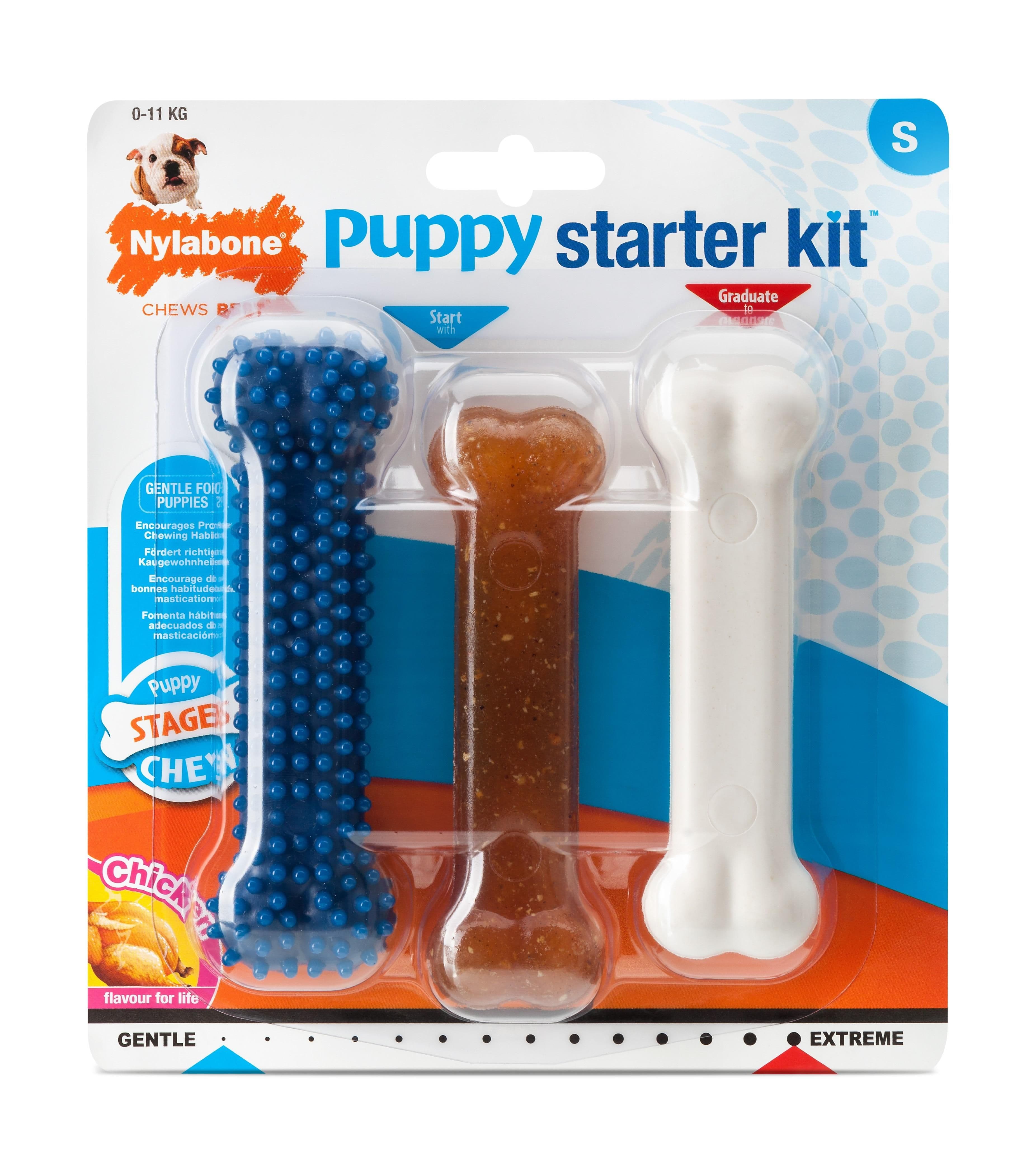 Nylabone Puppy Starter Kit (Small)