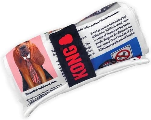 Kong Daily Newspaper (Extra Large)