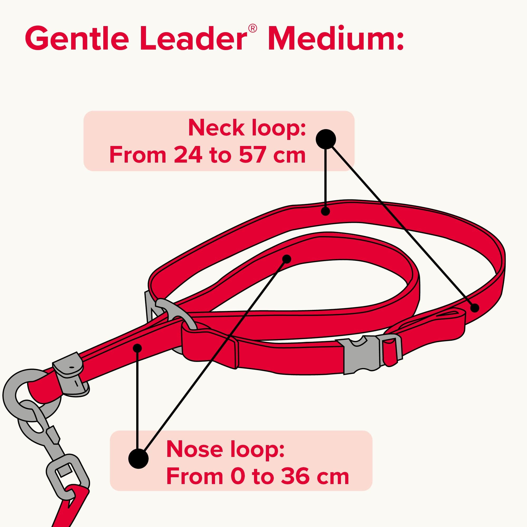Beaphar Gentle Leader (Black)(Medium)