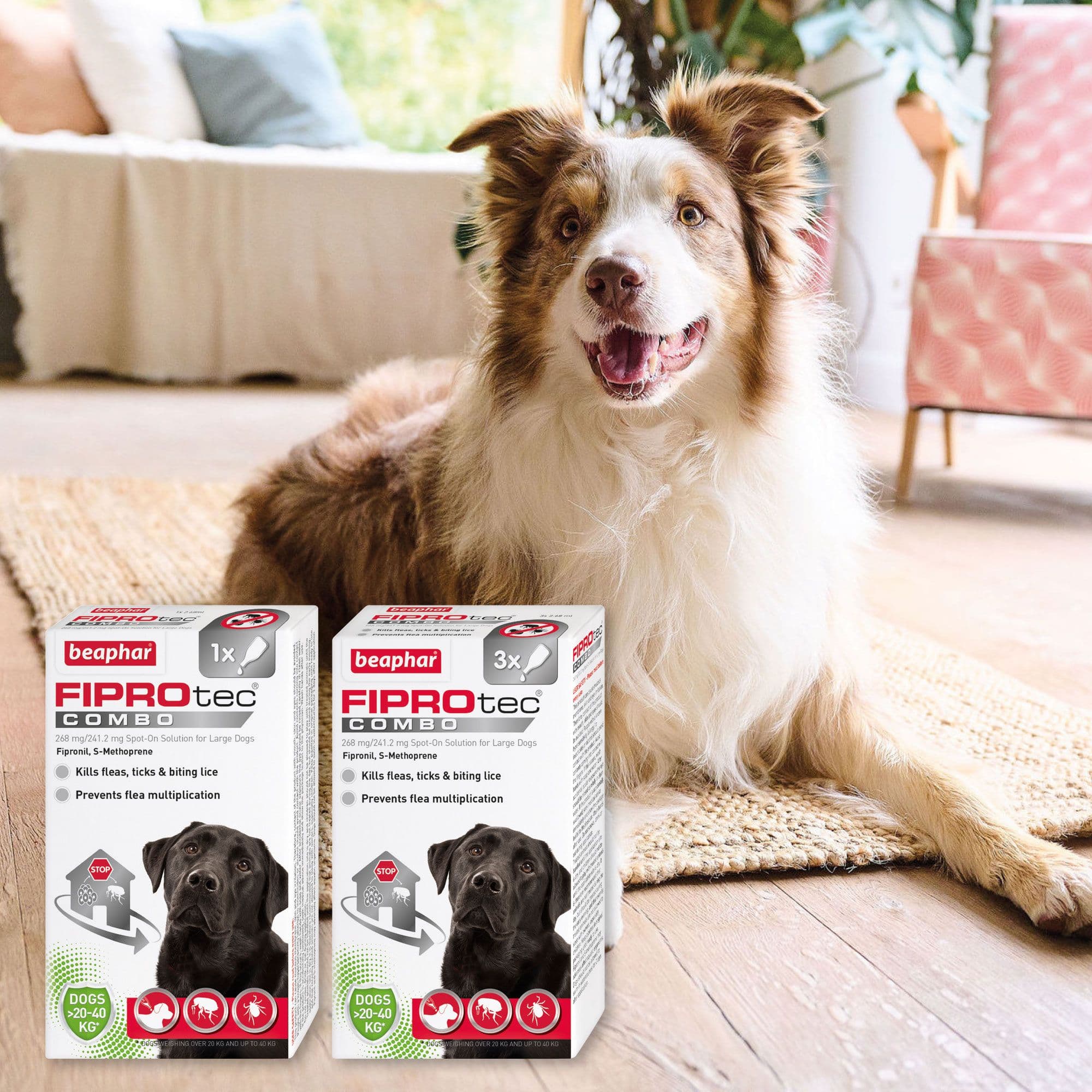 Beaphar Fiprotec Combo Large Dog (20-40KG)(3pk)