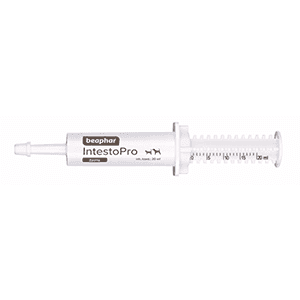 Beaphar IntestoPro Paste For Cats & Dogs (20ml)