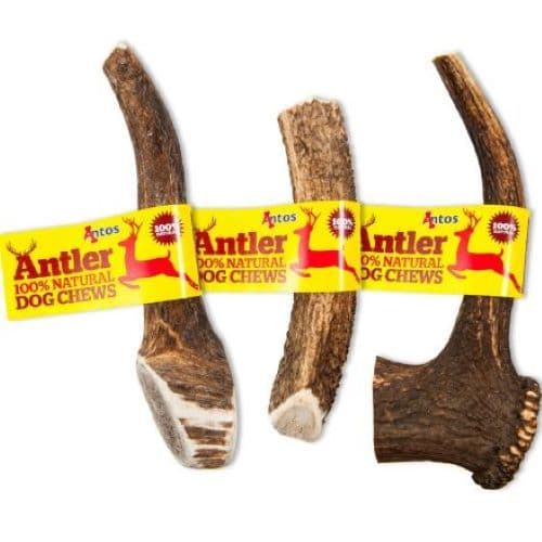 Highland Antler Small (50-75g)