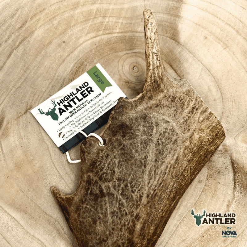 Highland Antler Fallow (Large)(150g+)