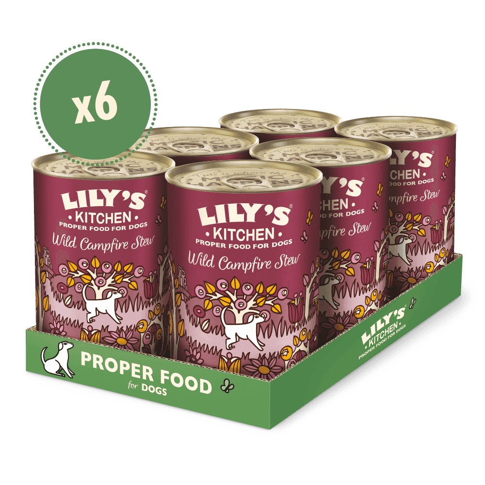 Lilys Kitchen Wild Campfire Stew (400g)