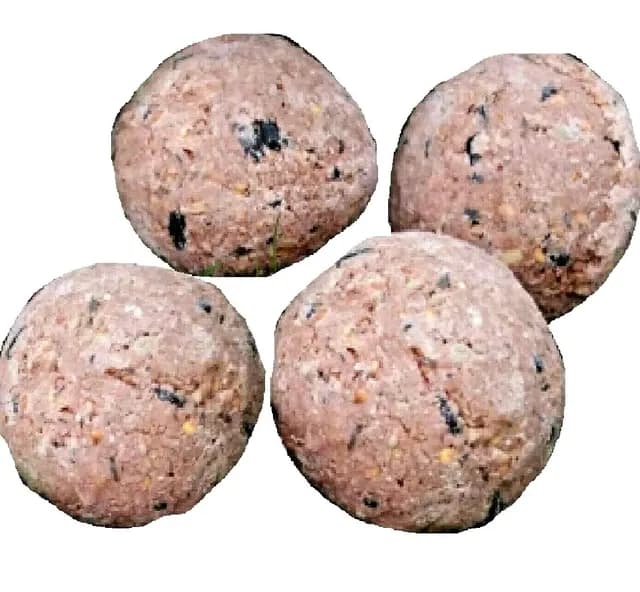 Natures Feast Berry Fat Ball