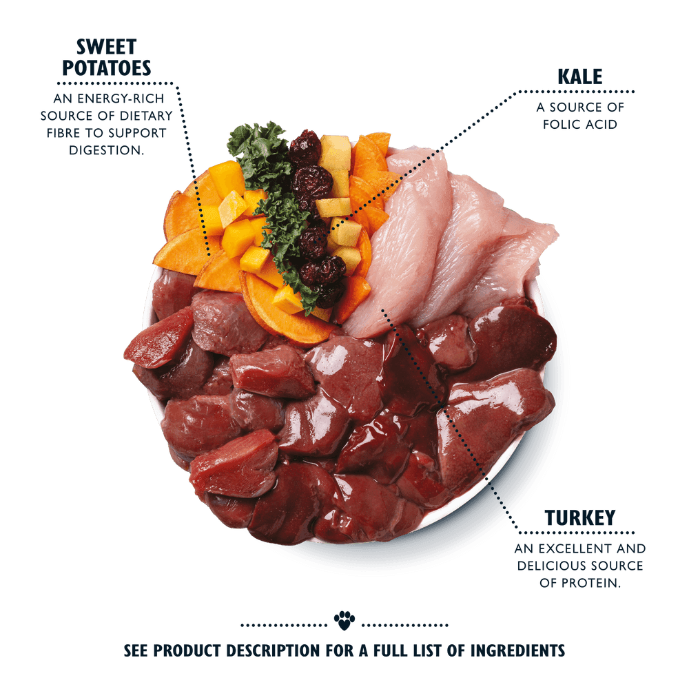 Lilys Kitchen Puppy Recipe Turkey & Duck (150g)
