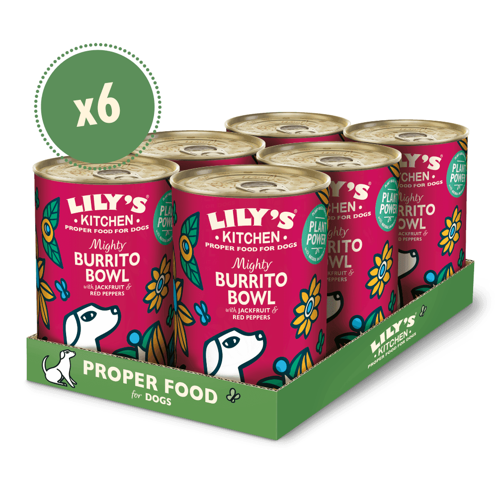Lilys Kitchen Mighty Burrito Bowl (400g)
