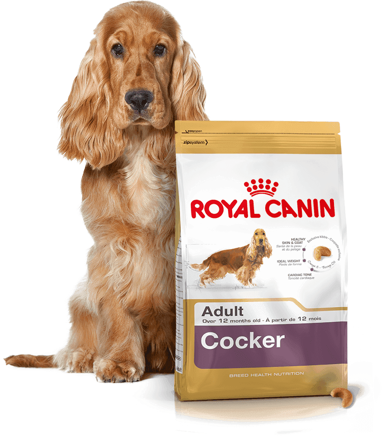 Royal Canin Adult Cocker (12kg)