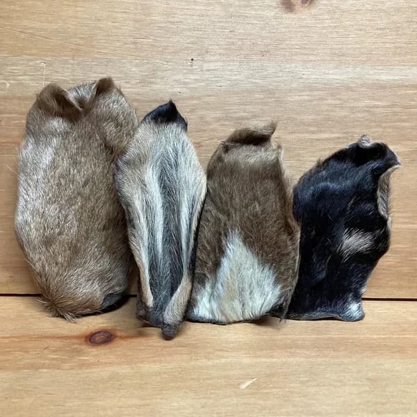 Goat Ears With Hair