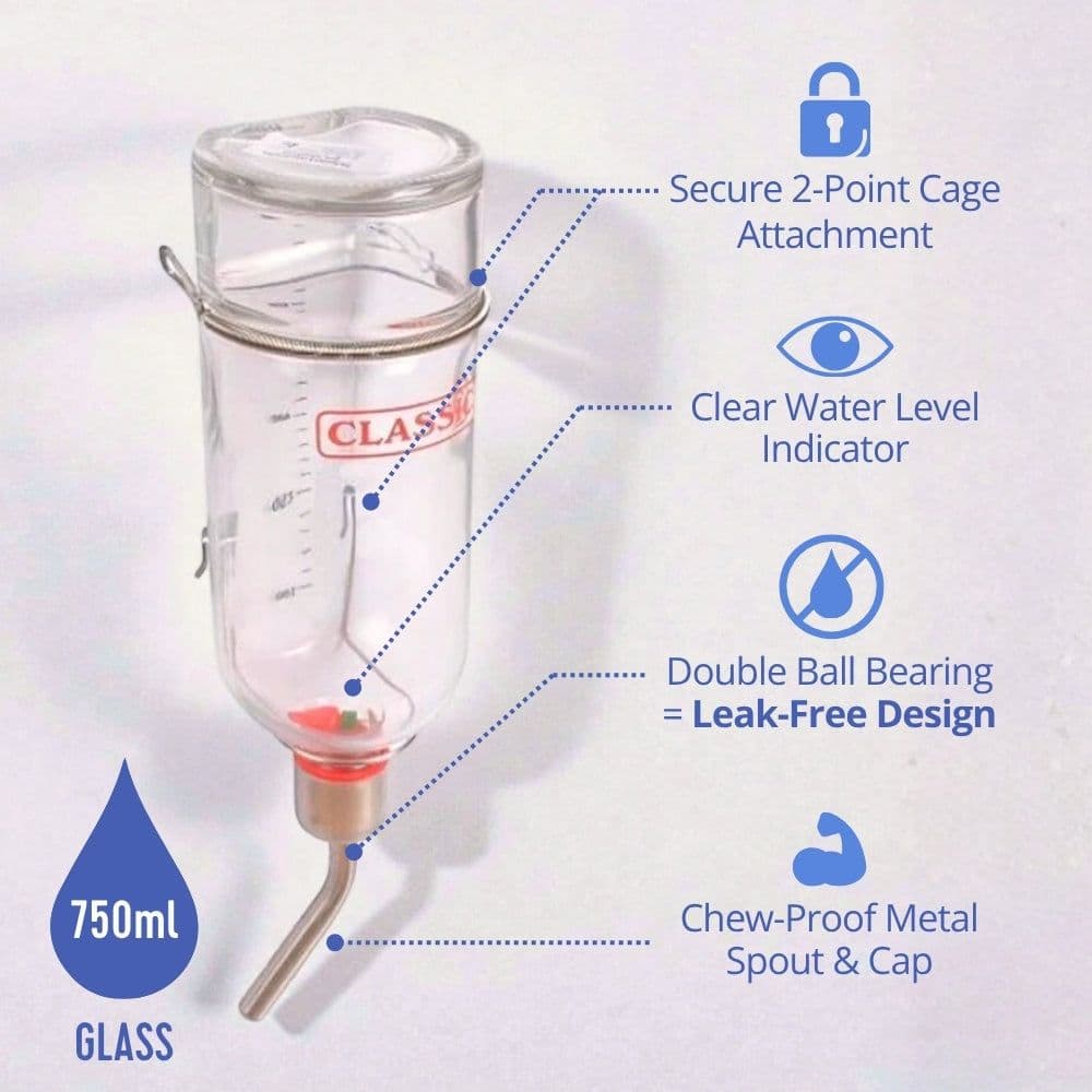Classic Glass Drinking Bottle (Large/750ml)
