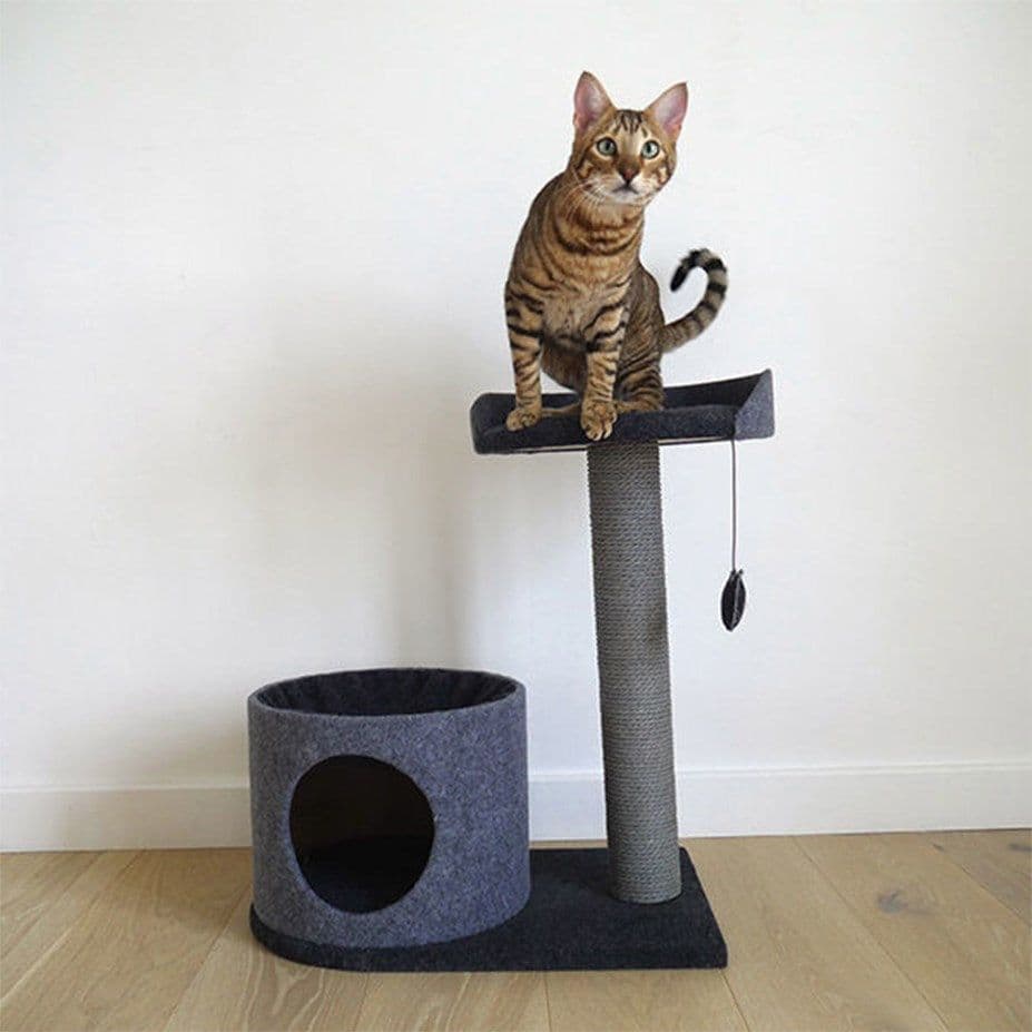Rosewood Charcoal Felt Cat House And Perch