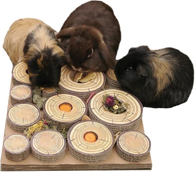 Rosewood Maze-A-Log Treat Challenge Chew Tube