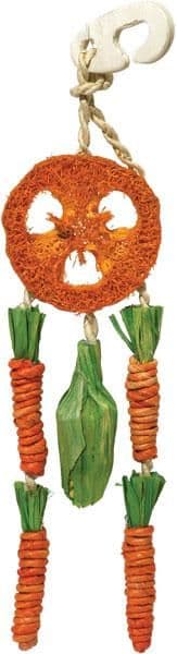Rosewood Carrot Dream Catcher