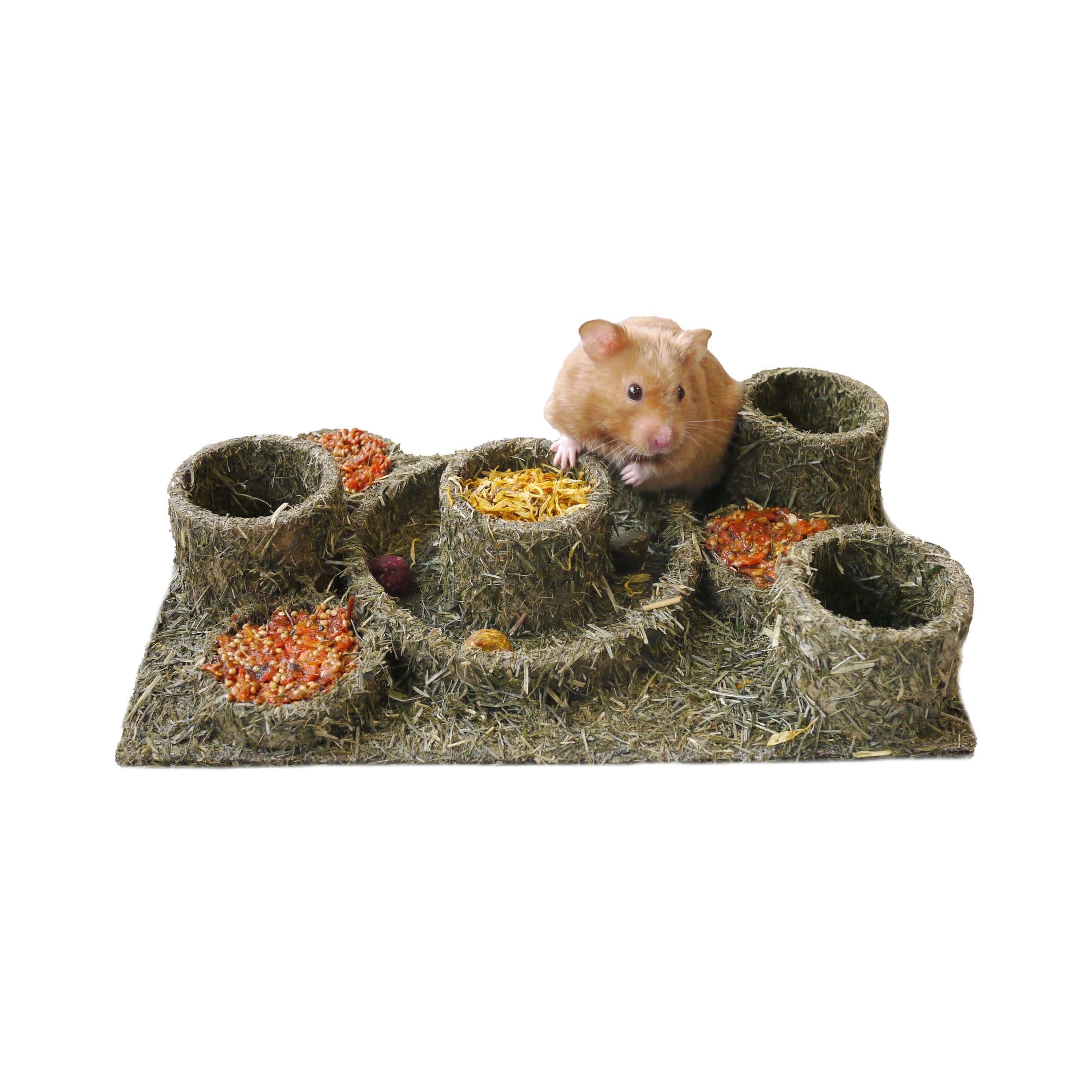Rosewood Naturals Hide 'n' Treat Maze
