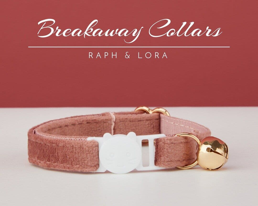 Rosewood Velvet Cat Collar