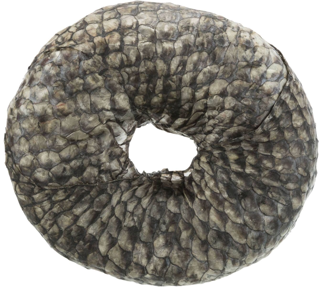 Denta Fun Fish Chewing Ring (10cm/110g)