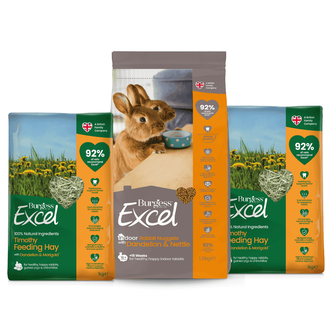 Burgess Excel Indoor Rabbit Nuggets (Eco/KG)