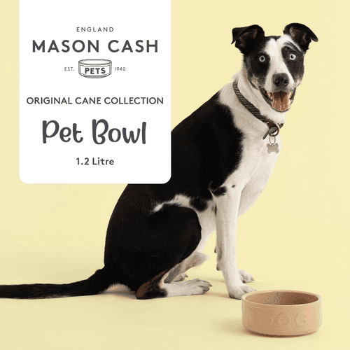 Mason Cash Cane Pet Bowl (18cm)